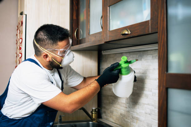 Best Pest Removal Services  in Breaux Bridge, LA