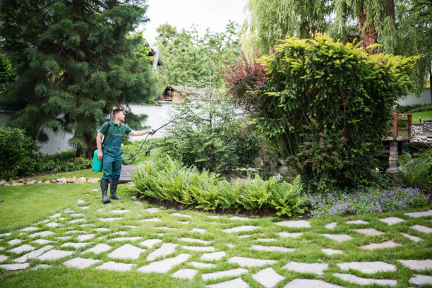 Best Mosquito Control Services  in Breaux Bridge, LA