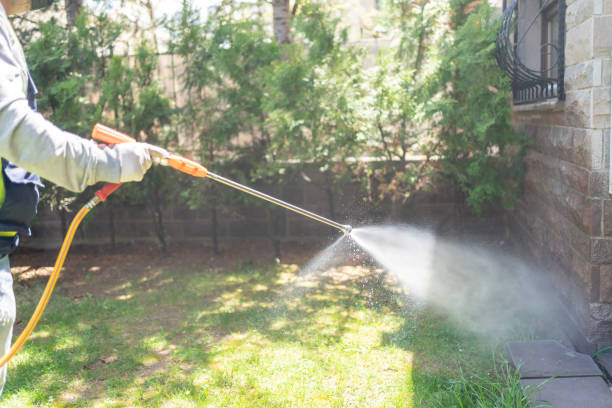 Best Emergency Pest Control  in Breaux Bridge, LA