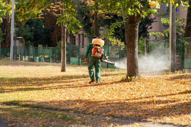 Trusted Breaux Bridge, LA Pest Control Experts