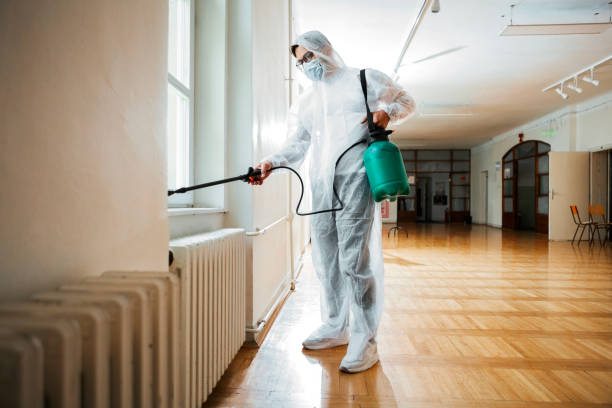 Best Ant Control Services  in Breaux Bridge, LA